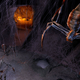 Image for article titled Researchers create a deadly spider Thunderdome — for science